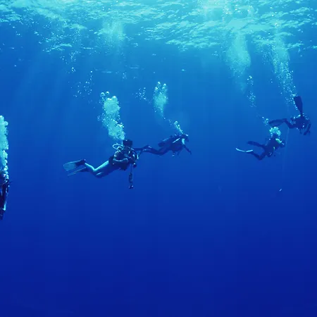 酒店 中庭宫殿水疗生活别墅度假酒店 5*