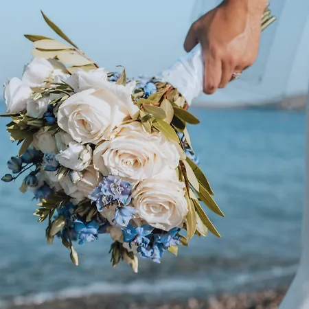 酒店 中庭宫殿水疗生活别墅度假酒店